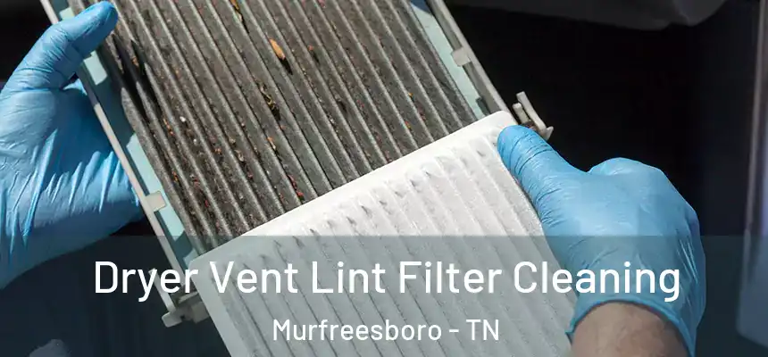  Dryer Vent Lint Filter Cleaning Murfreesboro - TN
