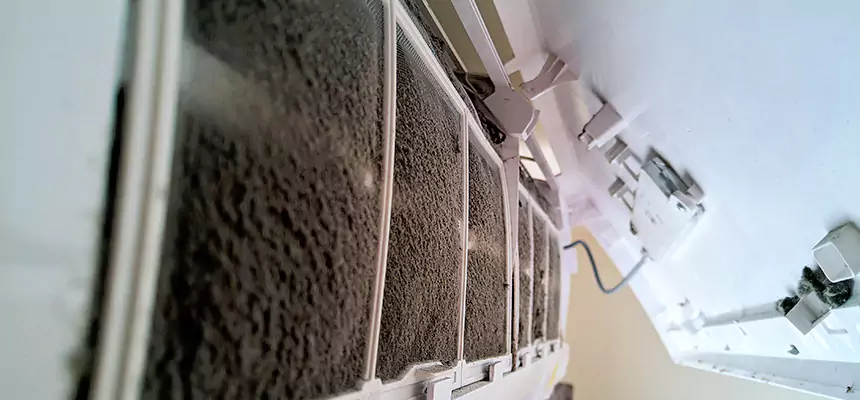 Preventive Air Duct Bacteria Removal in Murfreesboro