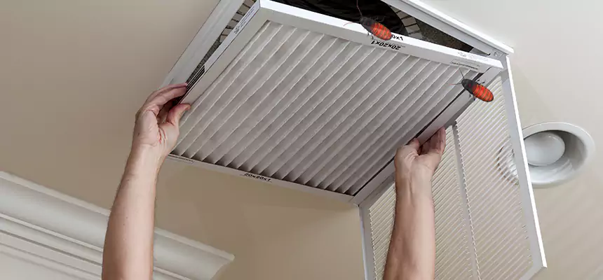 Preventive Cockroach-Proofing for Ducts in Murfreesboro