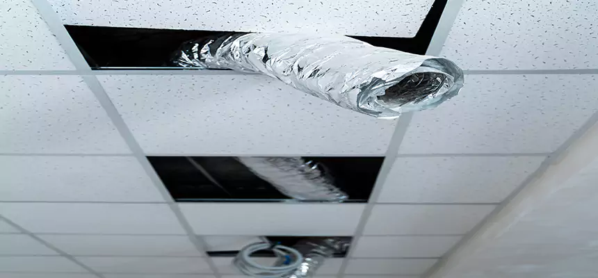 Our Air Duct Pet Hair Removal Services in Murfreesboro, TN