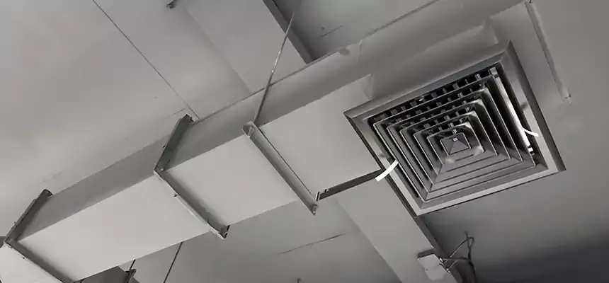 Our Rodent Droppings In Vents Services in Murfreesboro, TN