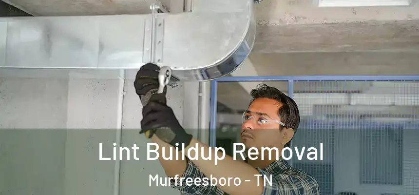  Lint Buildup Removal Murfreesboro - TN