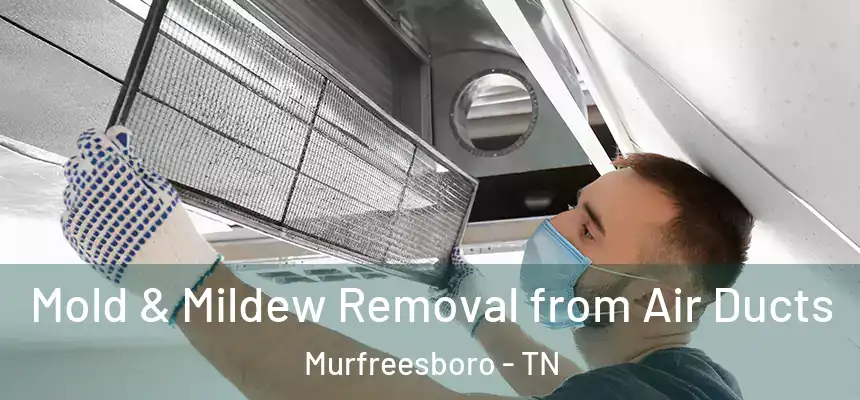  Mold & Mildew Removal from Air Ducts Murfreesboro - TN