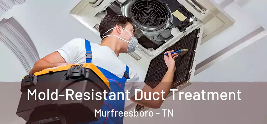  Mold-Resistant Duct Treatment Murfreesboro - TN
