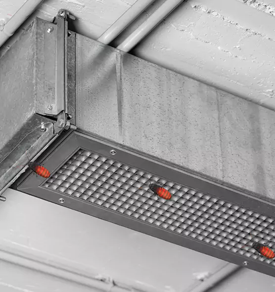 About Air Duct Cockroach Removal in Murfreesboro, TN