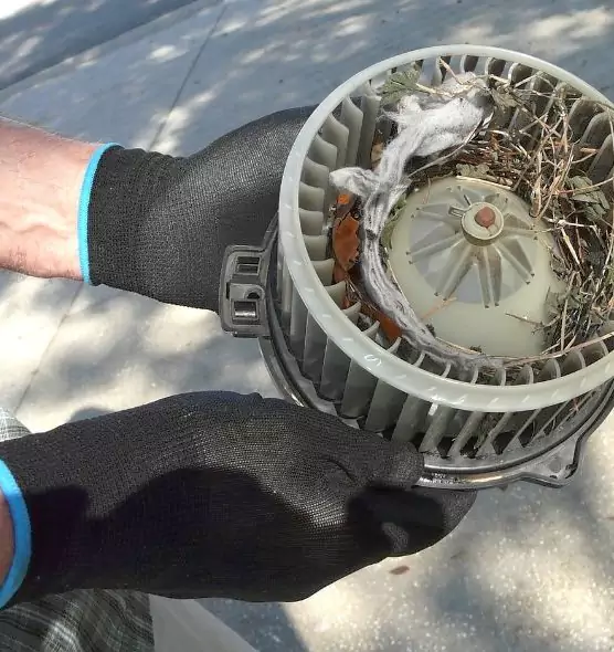 About Air Duct Mice Removal in Murfreesboro, TN